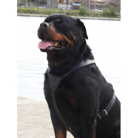 Ham din piele naturala pentru caini