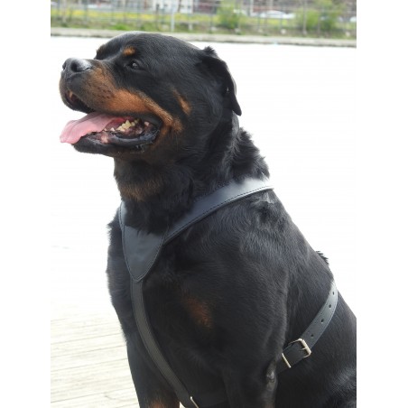 Ham din piele naturala pentru caini