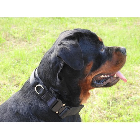 Zgarda profesionala Cobra ABC Sport Klin Germany pentru caini