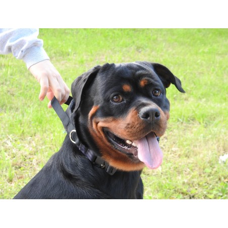 Zgarda profesionala Cobra ABC Sport Klin Germany pentru caini