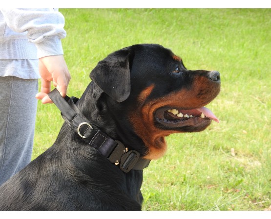 Zgarda profesionala Cobra ABC Sport Klin Germany pentru caini