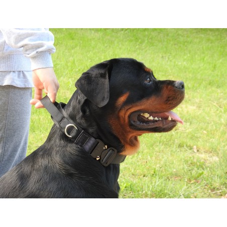 Zgarda profesionala Cobra ABC Sport Klin Germany pentru caini