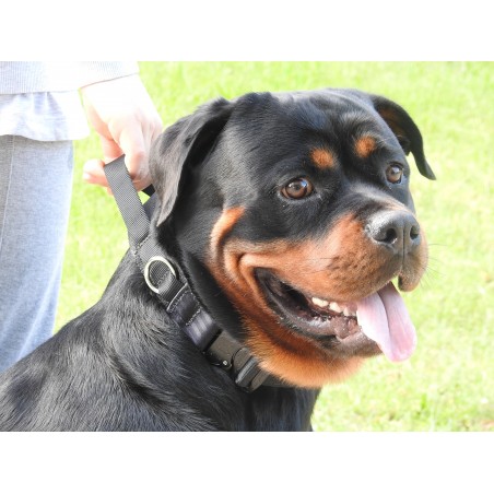 Zgarda profesionala Cobra ABC Sport Klin Germany pentru caini