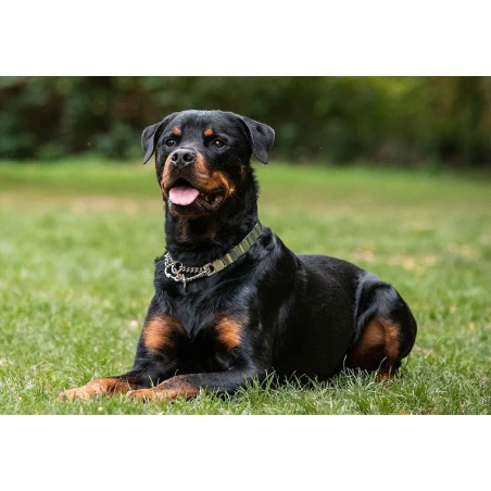 Zgarda metalica profesionala Hermann Sprenger NeckTech Fun with Assembly Chain otel inoxidabil