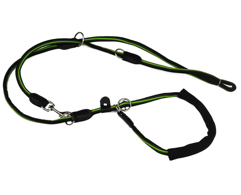 Lesa multifunctionala pentru caini