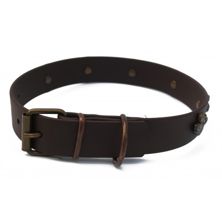 Zgarda Biothane prevazuta cu decoratiuni stejar