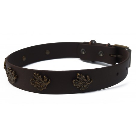 Zgarda Biothane prevazuta cu decoratiuni stejar