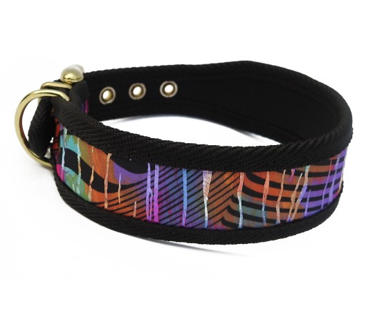 Zgarda Rainbow Bridge pentru caini