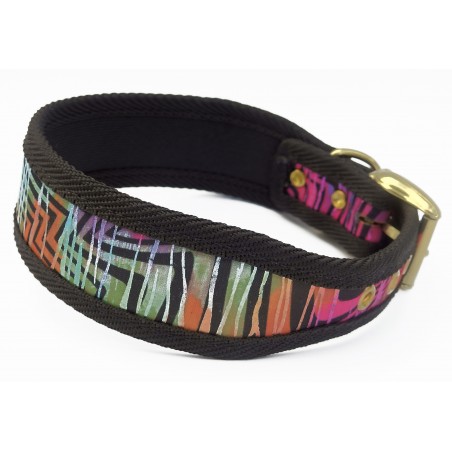 Zgarda Rainbow Bridge pentru caini