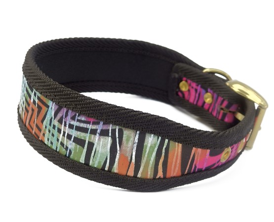 Zgarda Rainbow Bridge pentru caini