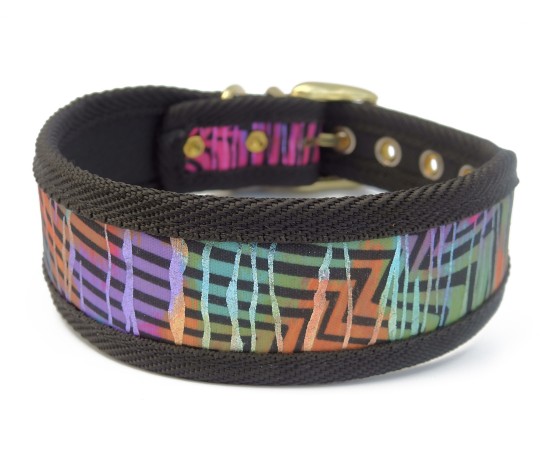 Zgarda Rainbow Bridge pentru caini