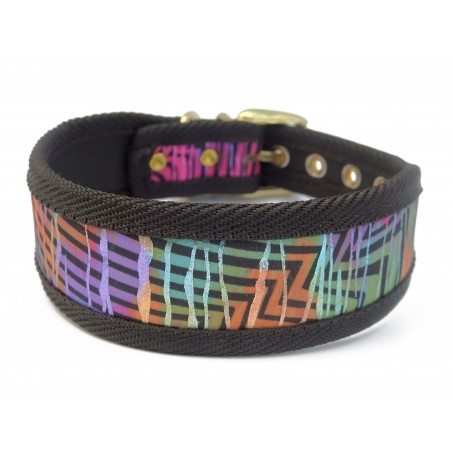 Zgarda Rainbow Bridge pentru caini