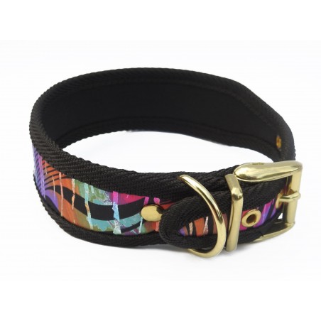 Zgarda Rainbow Bridge pentru caini