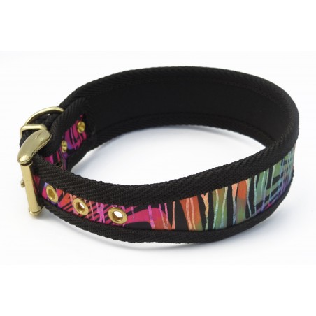 Zgarda Rainbow Bridge pentru caini