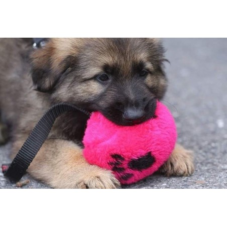 Minge puppy plush ABC Sport Klin Germany 9 cm