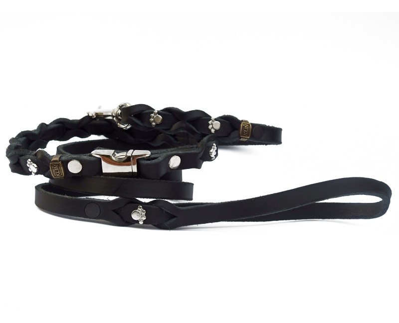 Set zgarda si lesa pentru caini , din piele naturala