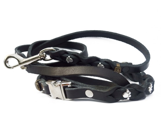 Set zgarda si lesa pentru caini , din piele naturala