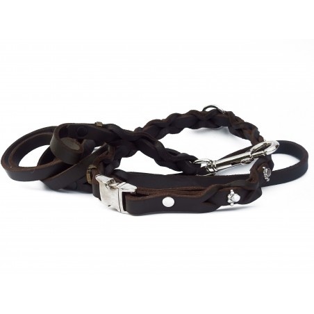 Set zgarda si lesa pentru caini , din piele naturala