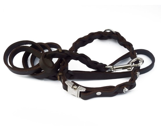 Set zgarda si lesa pentru caini , din piele naturala