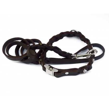 Set zgarda si lesa pentru caini , din piele naturala