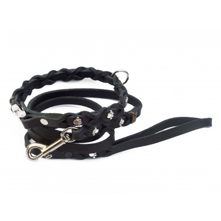 Set zgarda si lesa pentru caini , din piele naturala