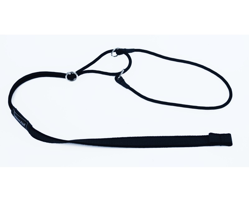 Lesa cu zgarda Action ABC Sport Klin Germany pentru dresaj canin