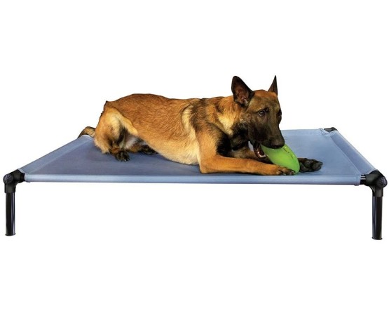 Starmark-Pat ProTraining Bed Sky Blue M pentru caini