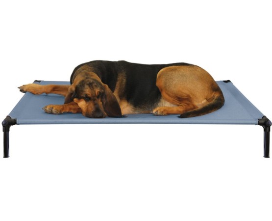 Starmark-Pat ProTraining Bed Sky Blue M pentru caini