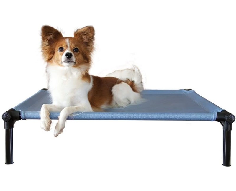 Starmark-Pat ProTraining Bed Sky Blue M pentru caini