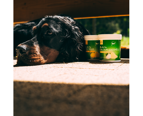 Supliment profesional RawDietLine Calciu Egg Shell 500 g pentru caini