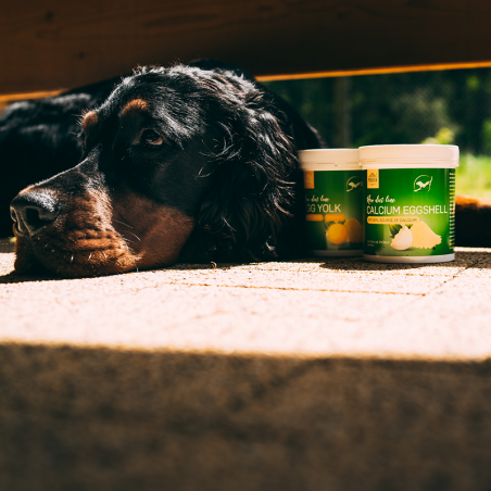 Supliment profesional RawDietLine Calciu Egg Shell 500 g pentru caini