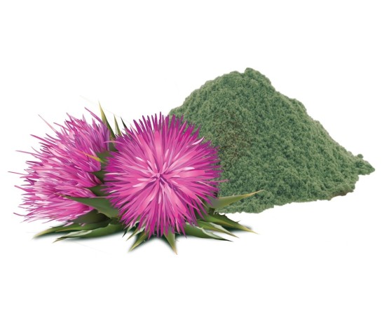 Supliment profesional RawDietLine Milk Thistle Extract 120 tablete pentru caini