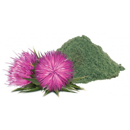 Supliment profesional RawDietLine Milk Thistle Extract 120 tablete pentru caini