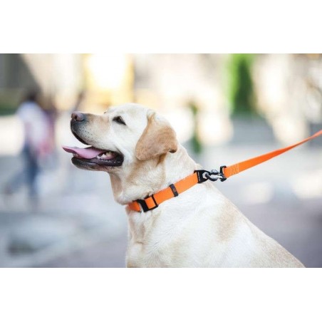 Zgarda reglabila pentru caini Evolutor