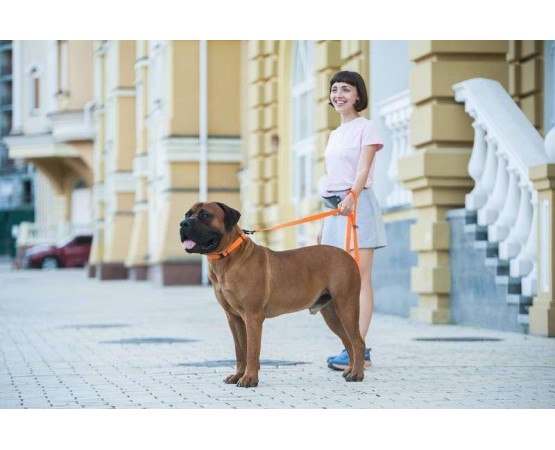 Zgarda reglabila pentru caini Evolutor