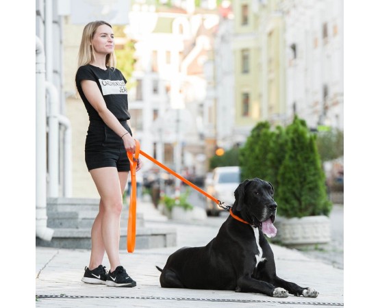 Lesa Evolutor pentru caini 3 metri