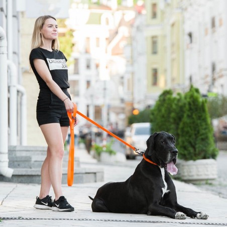 Lesa Evolutor pentru caini 3 metri