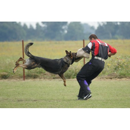 Manson profesional Orest Huspol IPO / IGP