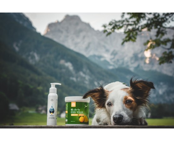 Supliment Omega pentru caini RawDietLine Organic Chicken Eggyolk 150 g