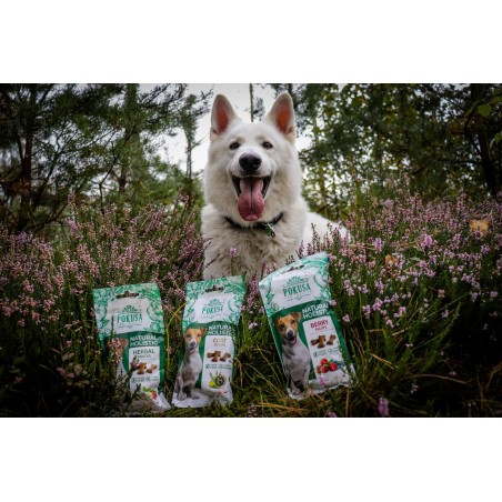 Biscuiti recompensa caini Natural Holistic Coat Boom 50 g