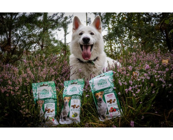 Biscuiti recompensa pentru caini Natural Holistic Fructe & Legume 50 g