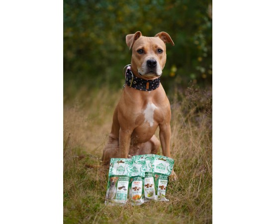 Biscuiti recompensa pentru caini Natural Holistic Fructe & Legume 50 g