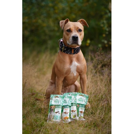 Biscuiti recompensa pentru caini Natural Holistic Fructe & Legume 50 g