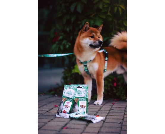 Recompense pentru caini Natural Holistic Puppy & Junior