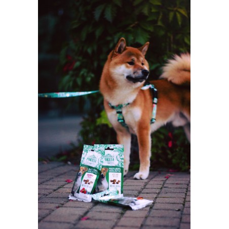 Recompense pentru caini Natural Holistic Puppy & Junior