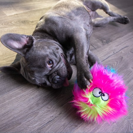 Jucarie goDog™ Furballz Rainbow S pentru caini