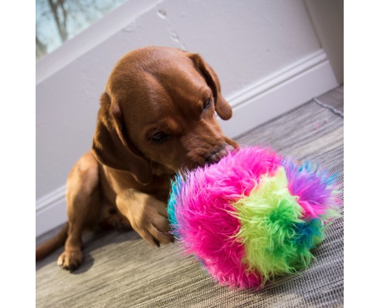 Jucarie goDog™ Furballz Rainbow S pentru caini