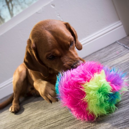 Jucarie goDog™ Furballz Rainbow S pentru caini