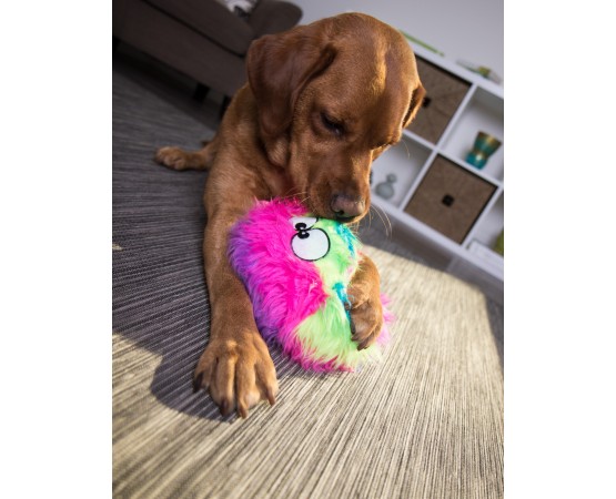 Jucarie goDog™ Furballz Rainbow S pentru caini