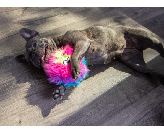 Jucarie goDog™ Furballz Rainbow S pentru caini